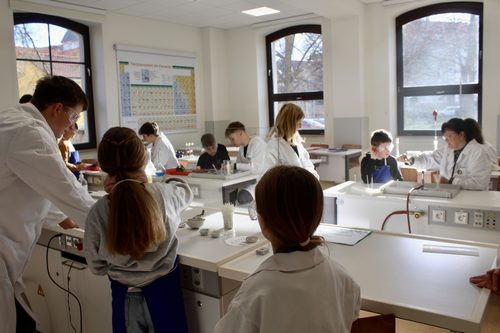 Impressionen vom Tag der offenen Tür am Gymnasium Ernestinum